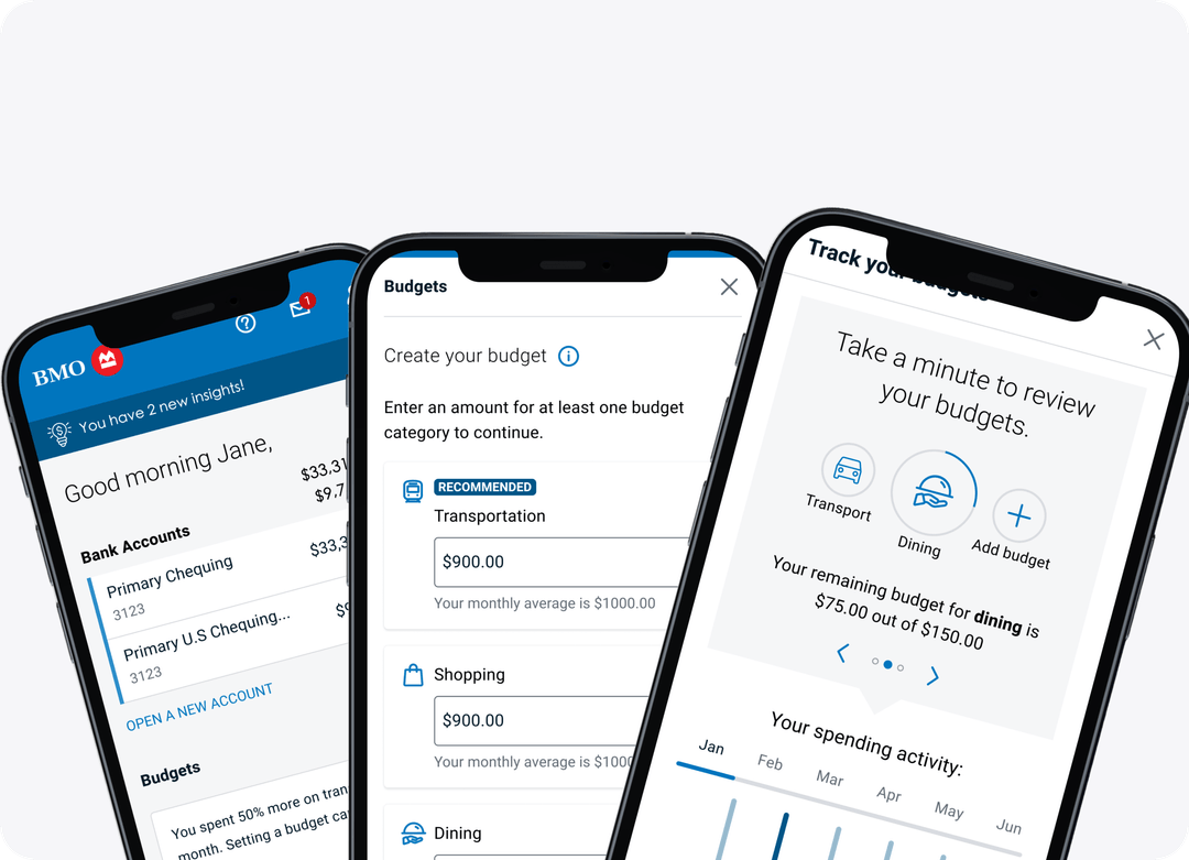 Budgeting Tool